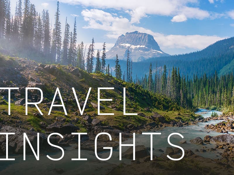 A pine forest with a mountain in the background and the caption "Travel Insights".