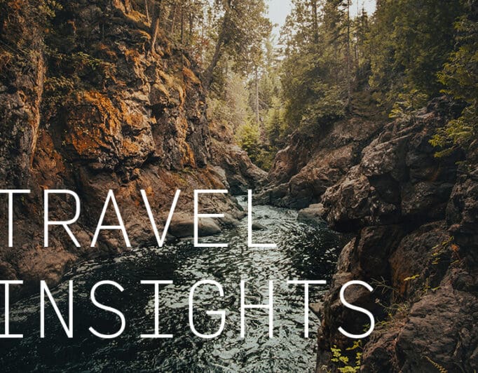 A forest stream with the caption "Travel Insights".