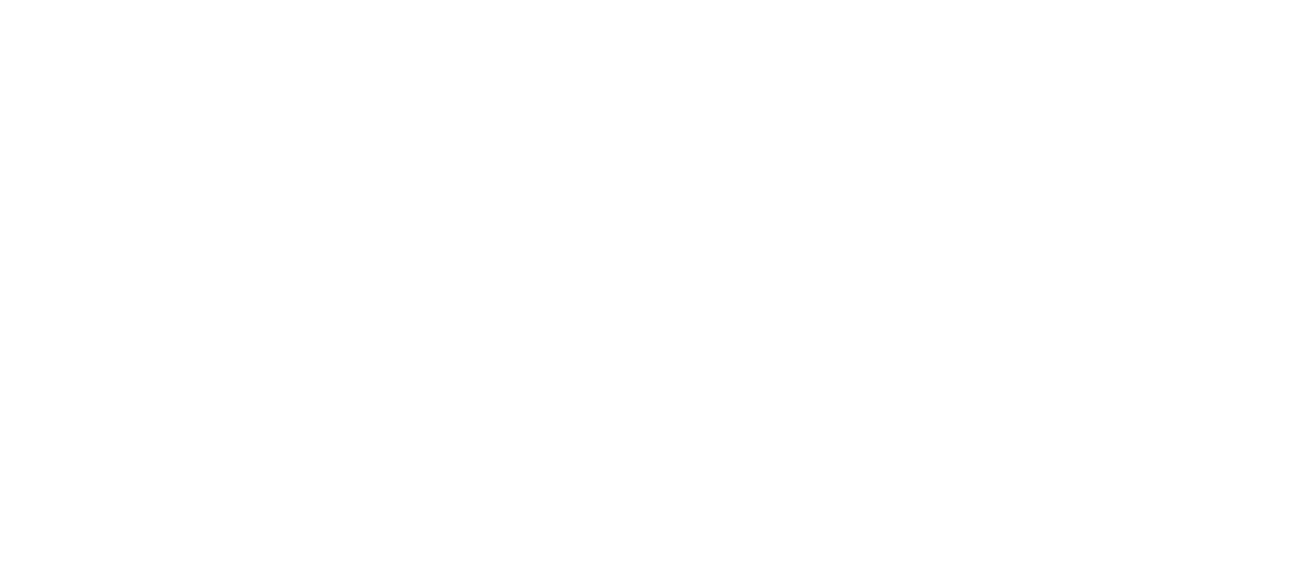 BvK Logo